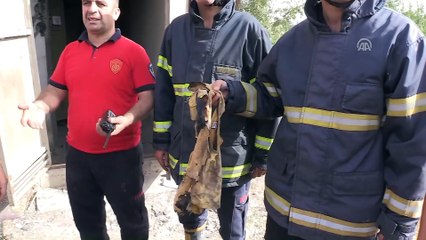 Trafoda akıma kapılan Suriyeli çocuk ağır yaralandı - ŞANLIURFA