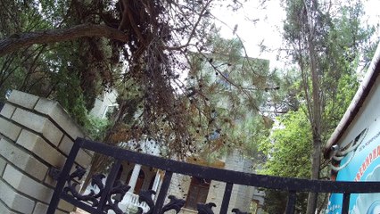 Guelendjik, Hôtel "L'étoile du sud"