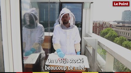 La ville : un eldorado pour nos abeilles ?