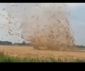 Dust Devil Whips Up Hay as Netherlands Experiences Driest July in Decades