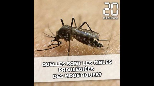 Quelles sont les cibles privilégiées des moustiques?