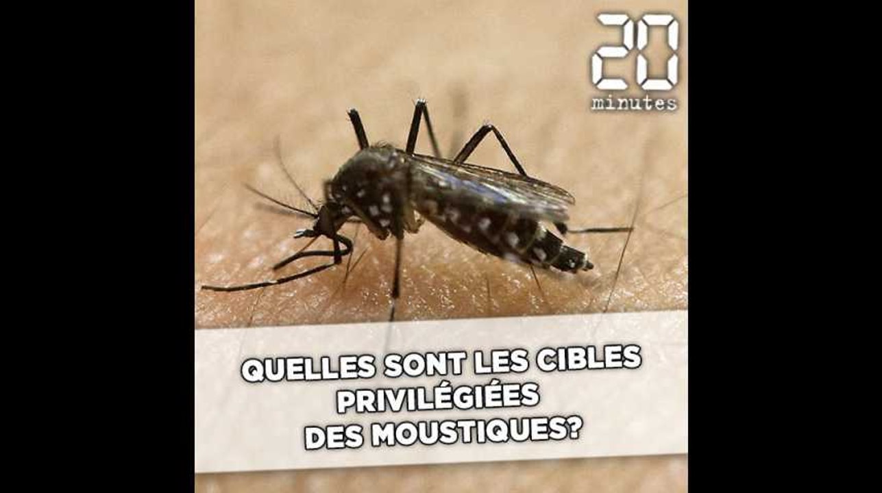 Quelles sont les cibles privilégiées des moustiques?