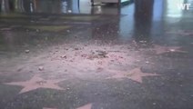 Donald Trump’s Hollywood Walk of Fame Star Has Been Smashed To Pieces. Again.