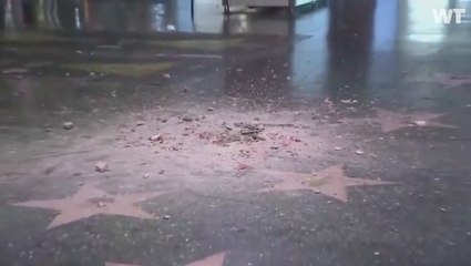 Donald Trump’s Hollywood Walk of Fame Star Has Been Smashed To Pieces. Again.