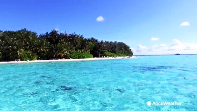 Why do some beaches have clear water while others have murky water?
