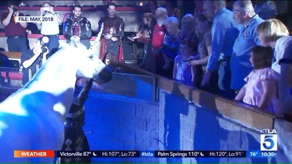 Girl Gets Wish for Magical Birthday Celebration After Surviving Series of Health Scares