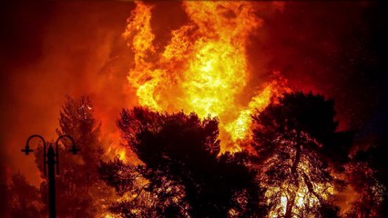 Incendies en Grèce : l'appel émouvant de Nikos Aliagas
