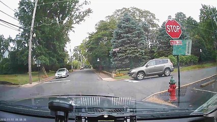 Dashcam Captures Tree Taking out Power Line