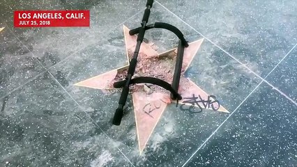 Trump's Star On Hollywood Walk of Fame Vandalized