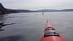 2 orques énormes approchent ce cette femme en kayak . Terrifiant