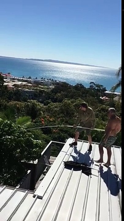 Carpet Python Caught on Roof