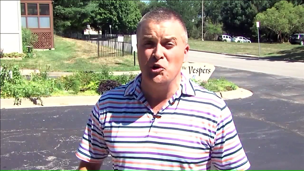 Thief Suspected of Stealing Sentimental Yard De...