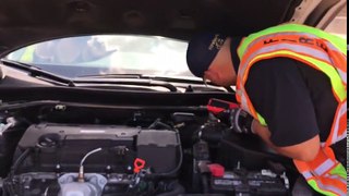 Kitten Rescued from Car Engine