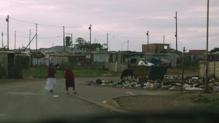 Adrénaline - Surf : Parko Township