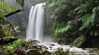 Relax with Nature 4 Hours Of Waterfall Sounds Sleep Meditation Nature Sounds Singing Birds