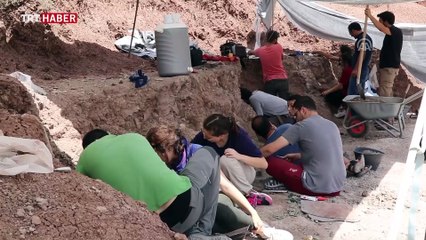 Çankırı'da 8 milyon yıllık fosiller gün yüzüne çıkarılıyor