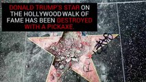 BBC News Trump’S Hollywood Walk Of Fame Star Destroyed Again