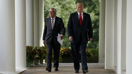 Trump : USA et UE veulent aller vers "zéro tarif douanier" dans les échanges industriels