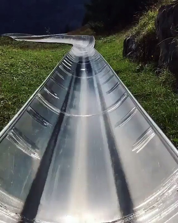 Swiss Alps Toboggan Ride