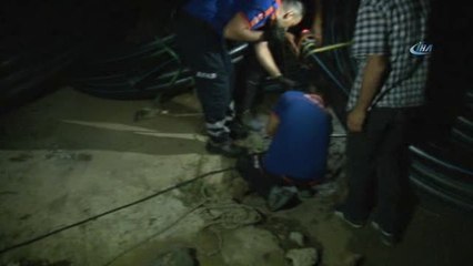 Sondaj Kuyusuna Düşen Yavru Köpek Kurtarıldı