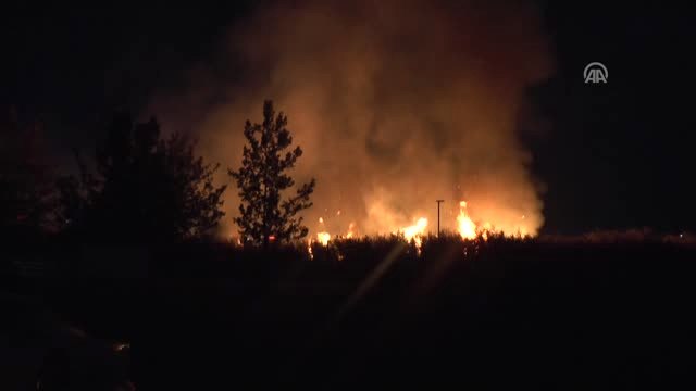 Mogan Gölü Kıyısındaki Sazlık Alanda Yangın