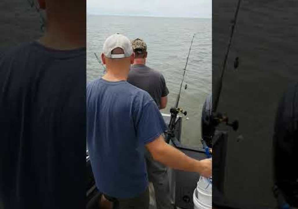 Shark Snatches Fish From Fisherman in Bay of Fundy, Nova Scotia