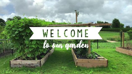 WELCOME TO OUR GARDEN! July 2018 // MONICA T.