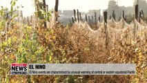 The blueprint for El Nino revealed