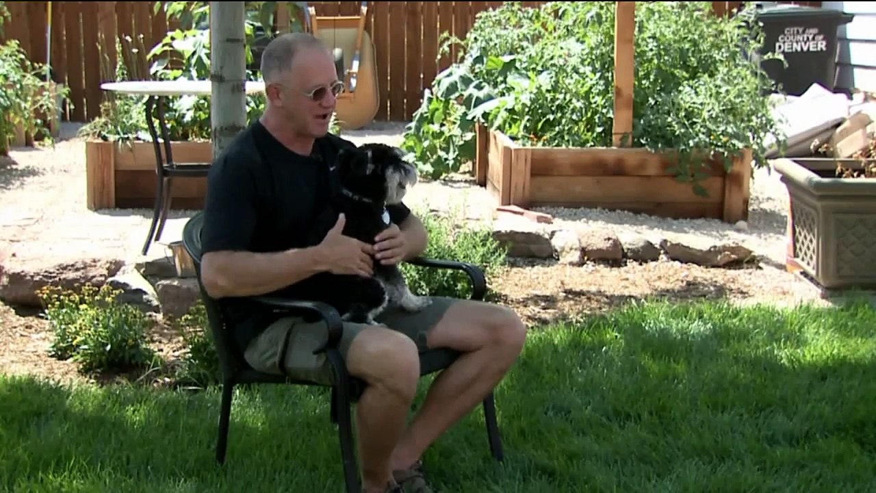 Pet Detectives Try to Track Down Deployed Soldier`s Missing Dog