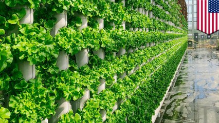 Vertical farming company to bring chemical-free produce to stores