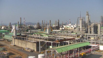 2분기 경제성장률 0.7%...투자 부진·소비 주춤 / YTN