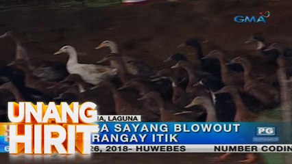 Unang Hirit: Barangay Itik sa Victoria, Laguna, sinorpresa ng 'Unang Hirit'