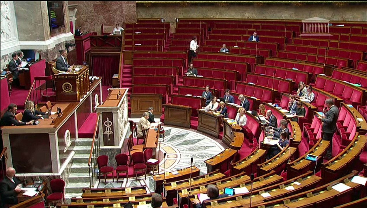 2ème séance : Liberté de choisir son avenir professionnel (nouvelle lecture) (suite) (Art 11 bis A, adt 489 à Art. 25 bis) - Mardi 24 juillet 2018