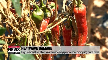 Heatwave causes damage to nationwide crop, fish production