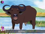 Picture Book For Children – African Wildlife Animals With Flippen for iPad/iPhone game app