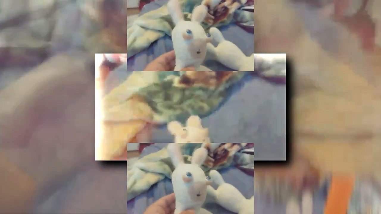 Rabbids Fighting Over A Carrot The Sequel Scan (Veg Replace)