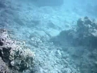 lagon de la reunion filme avec la camera oregon