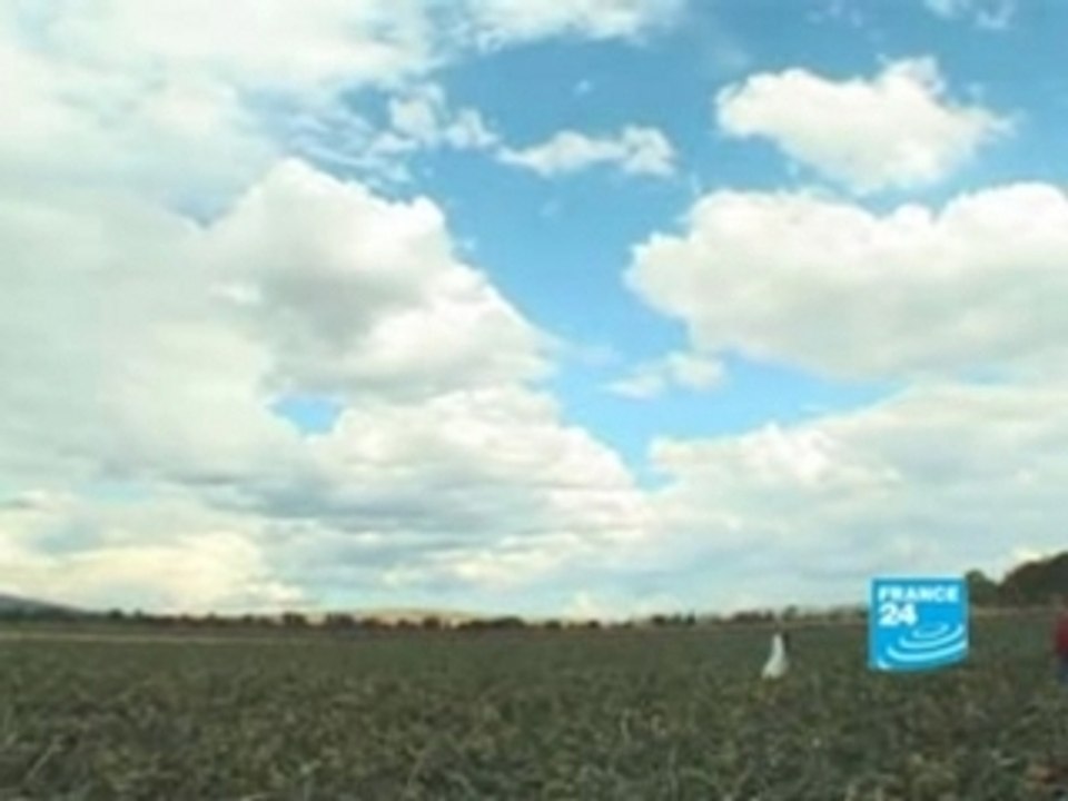 Mexico: the new agricultural Eldorado?-Report-EN-FRANCE24