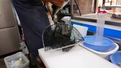 Japan Seafood - Fish Puffer Cooking By Japanese Chef-
