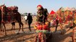 Dancing horses at Pushkar camel fair Rajasthan