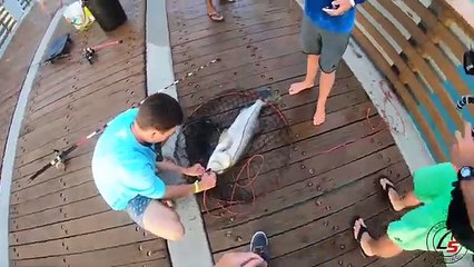ALMOST Pulled in... UNSTOPPABLE Fish (Juno Pier Snook Fishing)