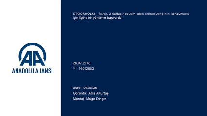 İsveç'te orman yangınına bombalı müdahale - STOCKHOLM