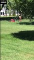 Elle tond la pelouse en utilisant un hoverboard