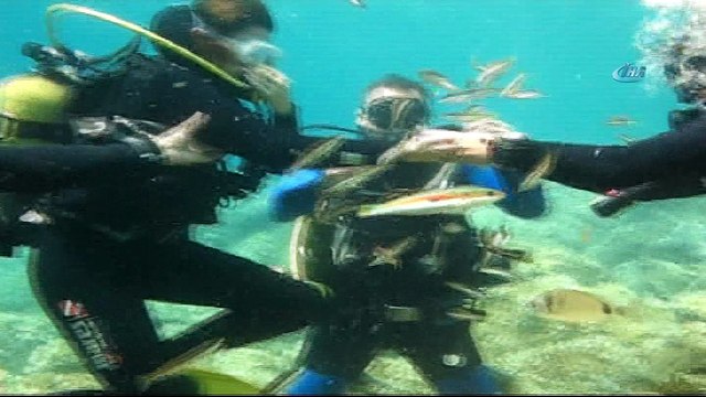 Kravatlı dalgıçlardan mercan avı