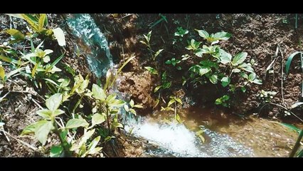 Ngang qua Krông Bông - DĂK LĂK - Du lịch Đắc Lắc - Ohman.vn