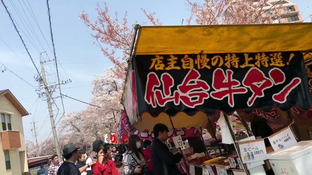 Nhật bản mùa hoa anh đào nở - Du lịch Nhật Bản - Ohman.vn