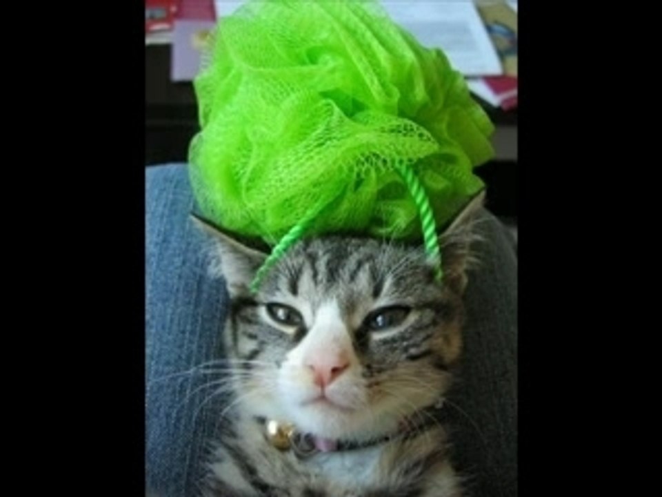 Mode fashion