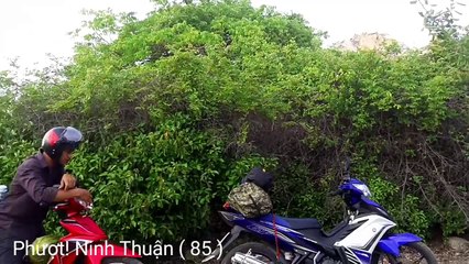 Phan Rang - Ninh Thuận. Phong cảnh thật vùng vĩ , hoang sơ - Du lịch Phan Rang Ninh Thuận - Ohman.vn