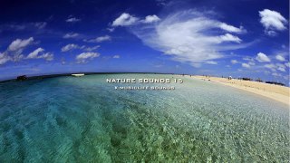 Nature Sound 15 THE MOST RELAXING SOUNDS
