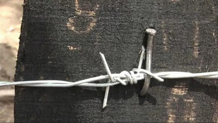 Bolgár kerítés épül a román határra